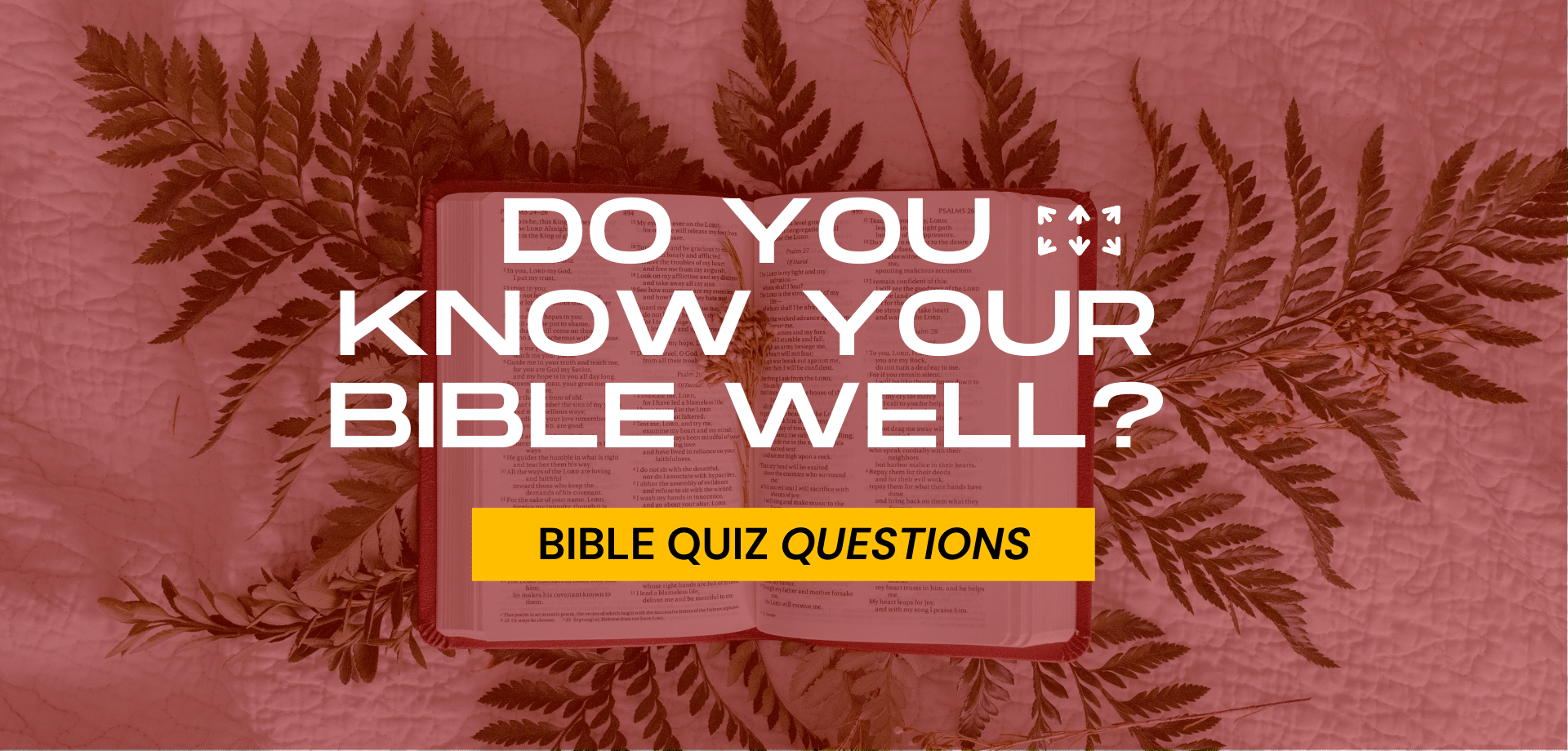 Do you know your bible well?